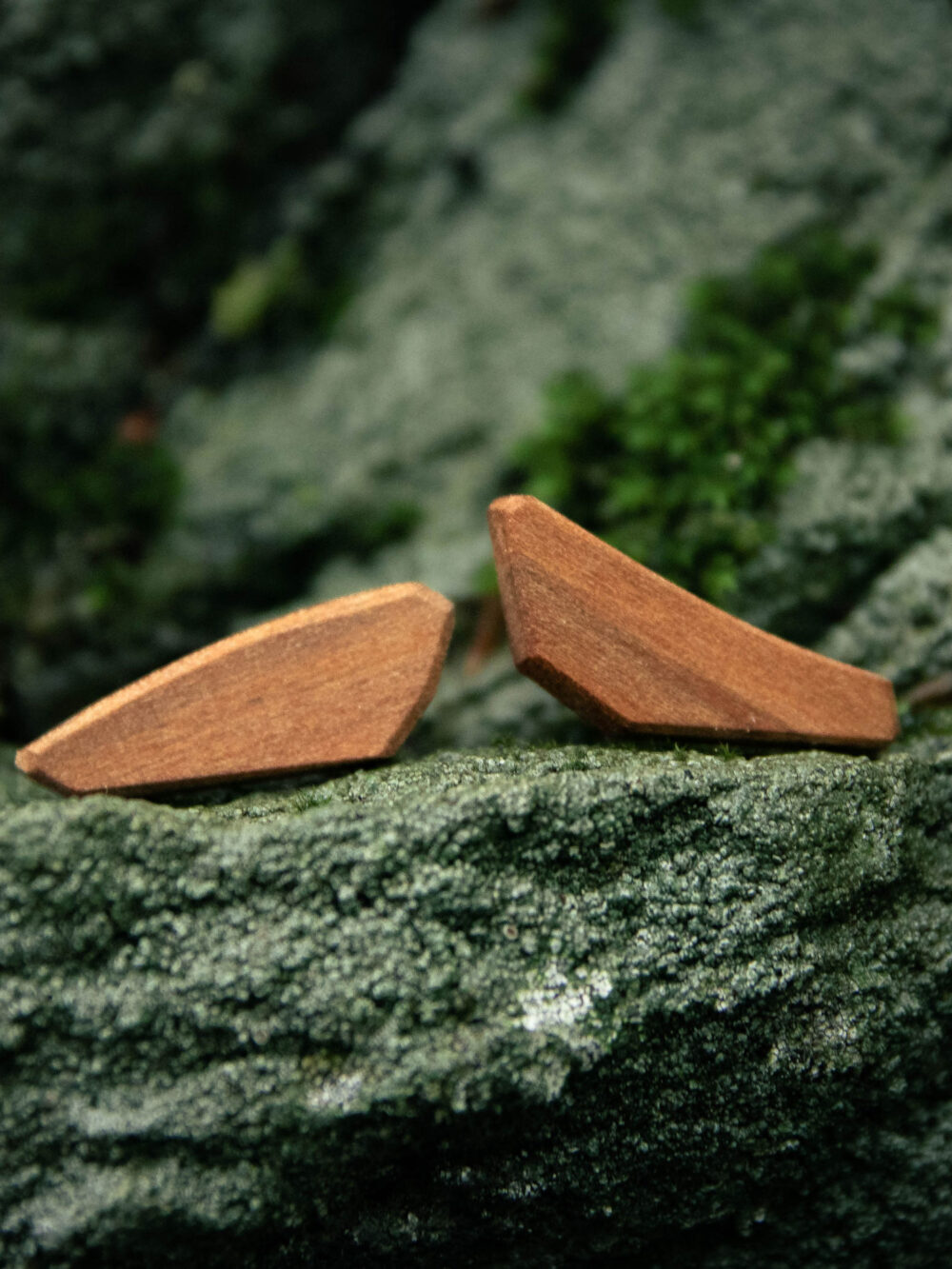 Ohrstecker aus Apfelholz - Form "asymmetrisch"
