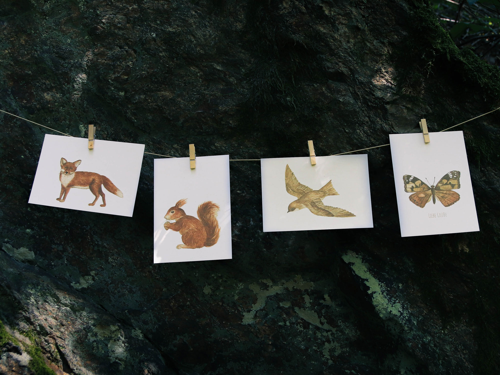 Postkarte Tiere - "Mauersegler" – Bild 6
