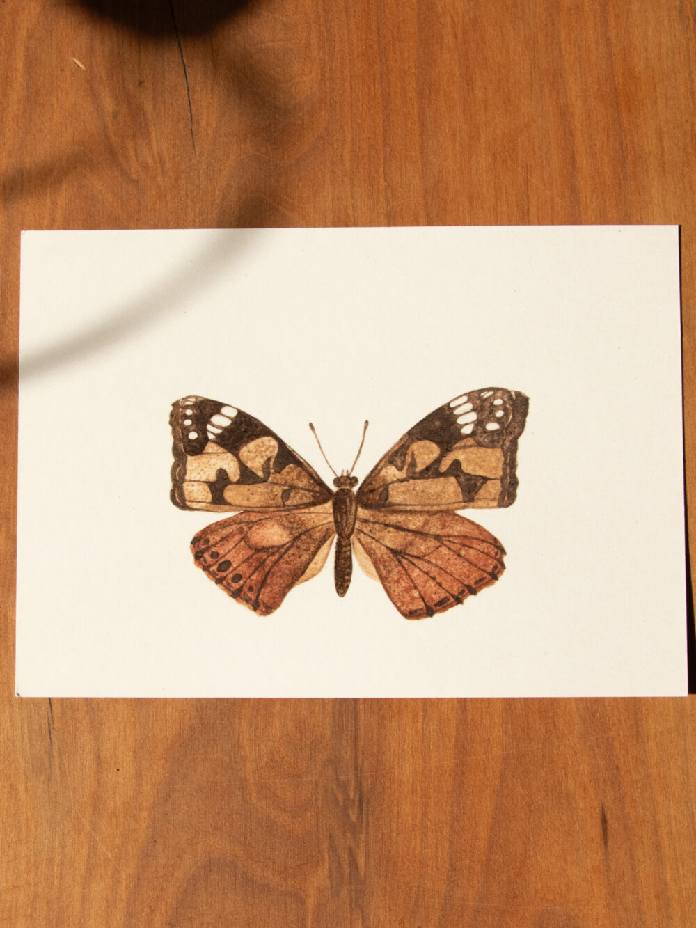 Postkarte Tiere - "Distelfalter"