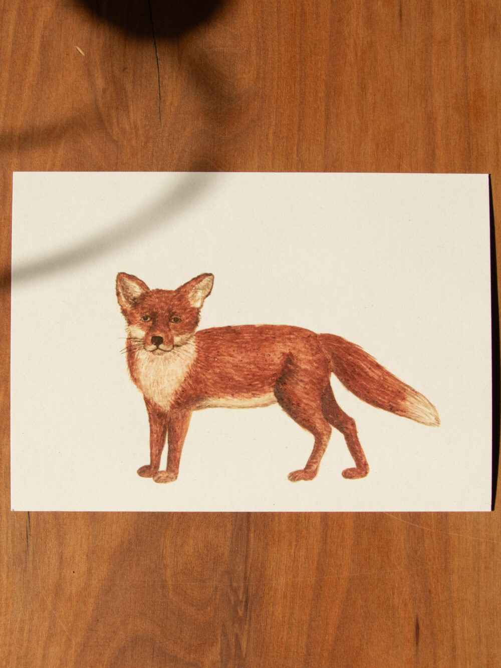 Postkarte Tiere - "Fuchs"