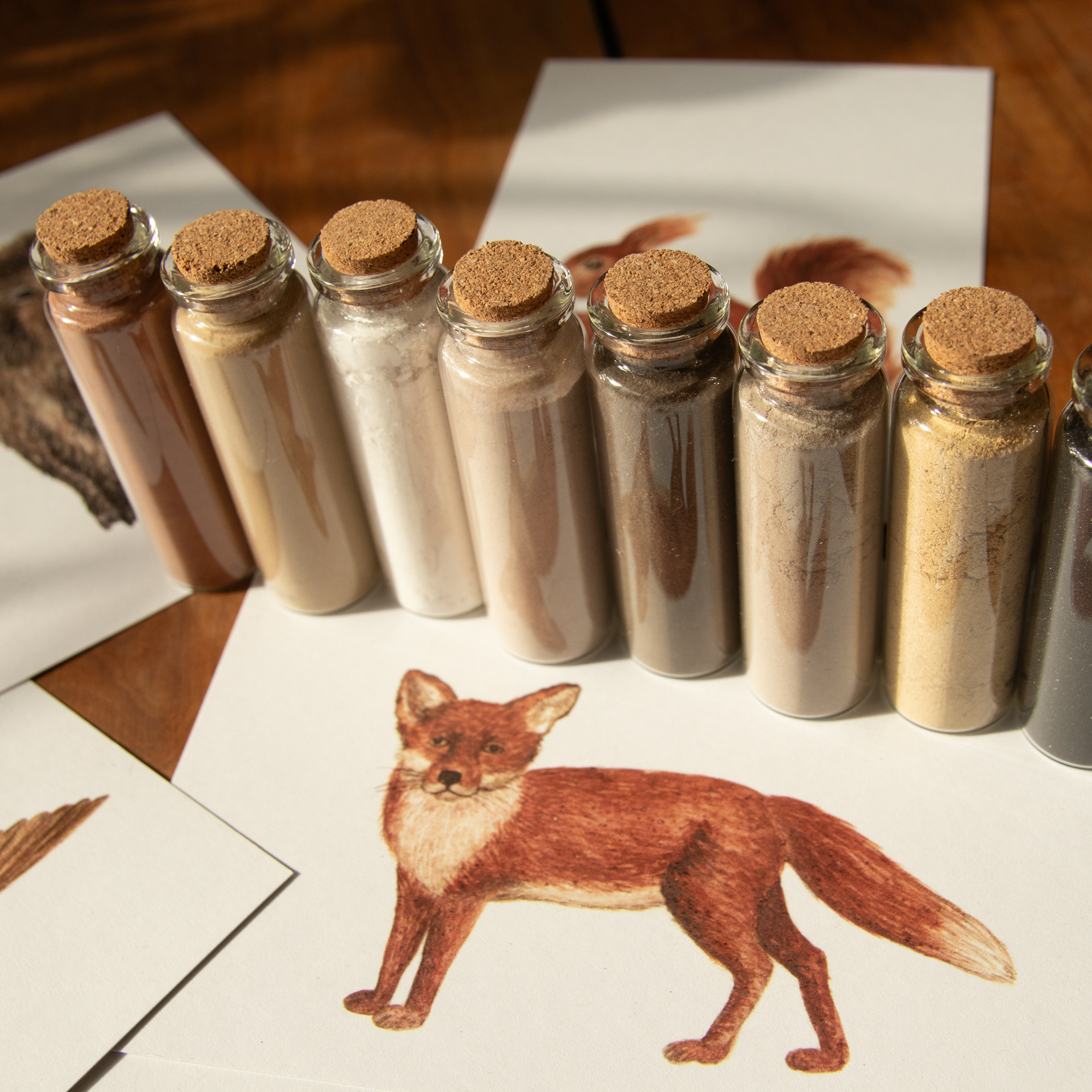 Postkarte Tiere - "Fuchs" – Bild 3