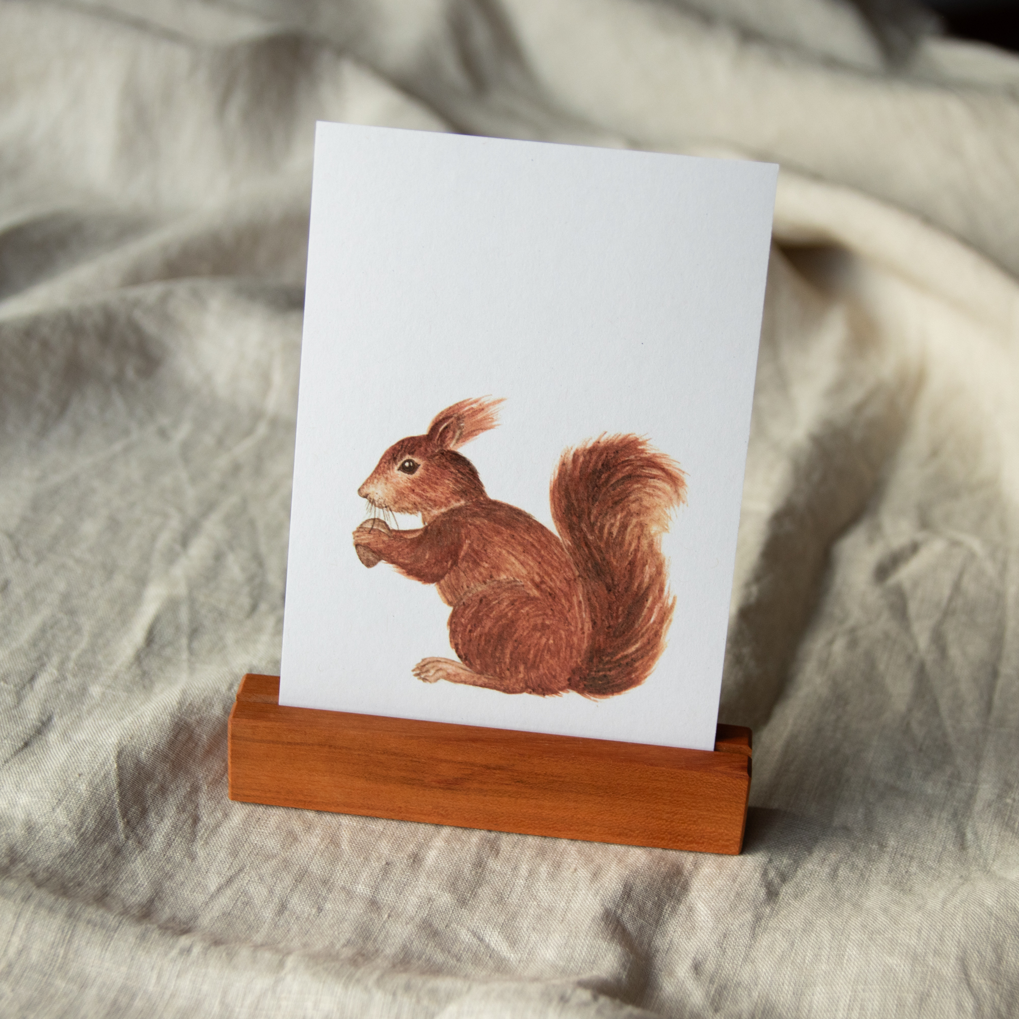 Postkarte Tiere - "Eichhörnchen" – Bild 2