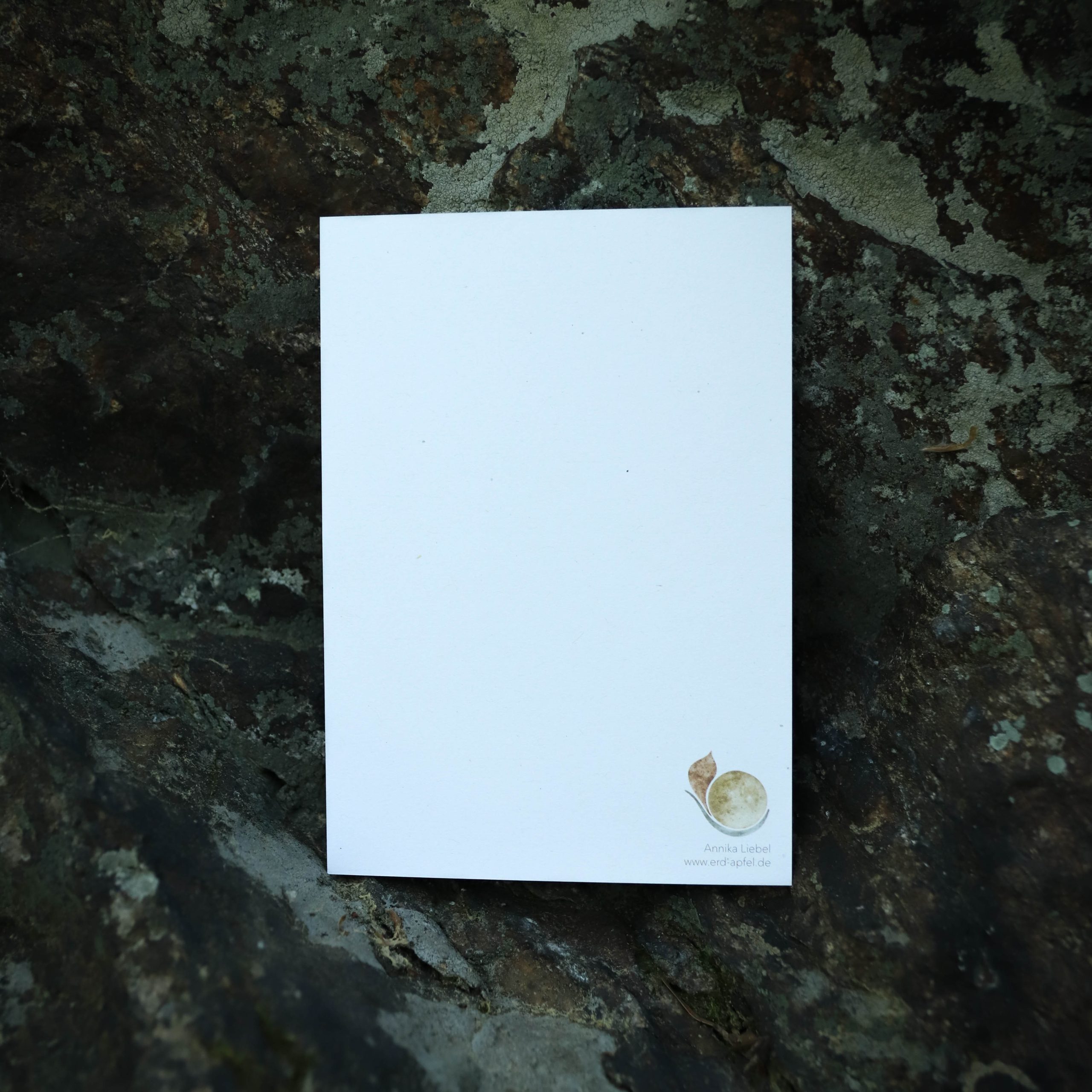 Postkarte Tiere - "Eichelhäher" – Bild 4