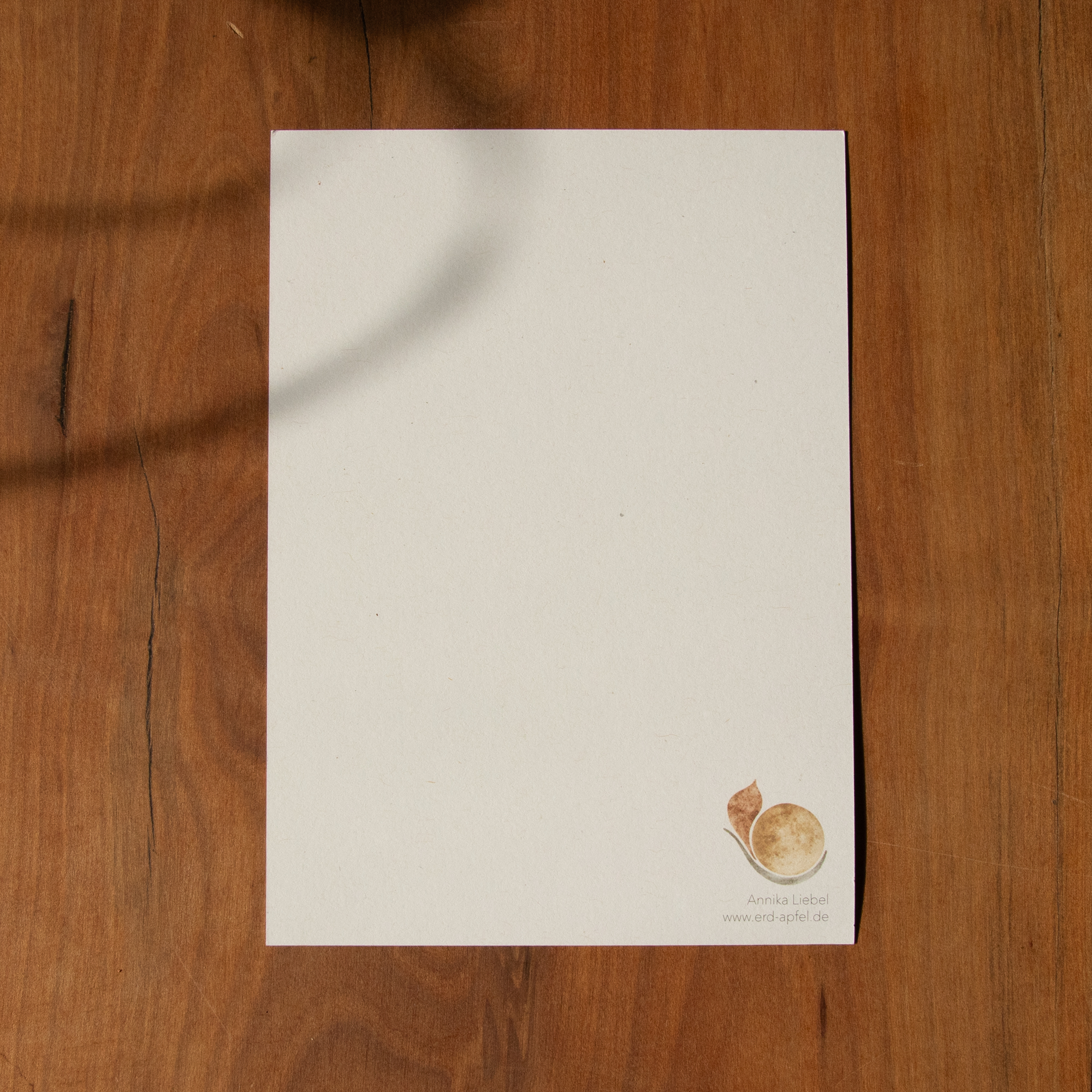 Postkarte Käfer - braun – Bild 2