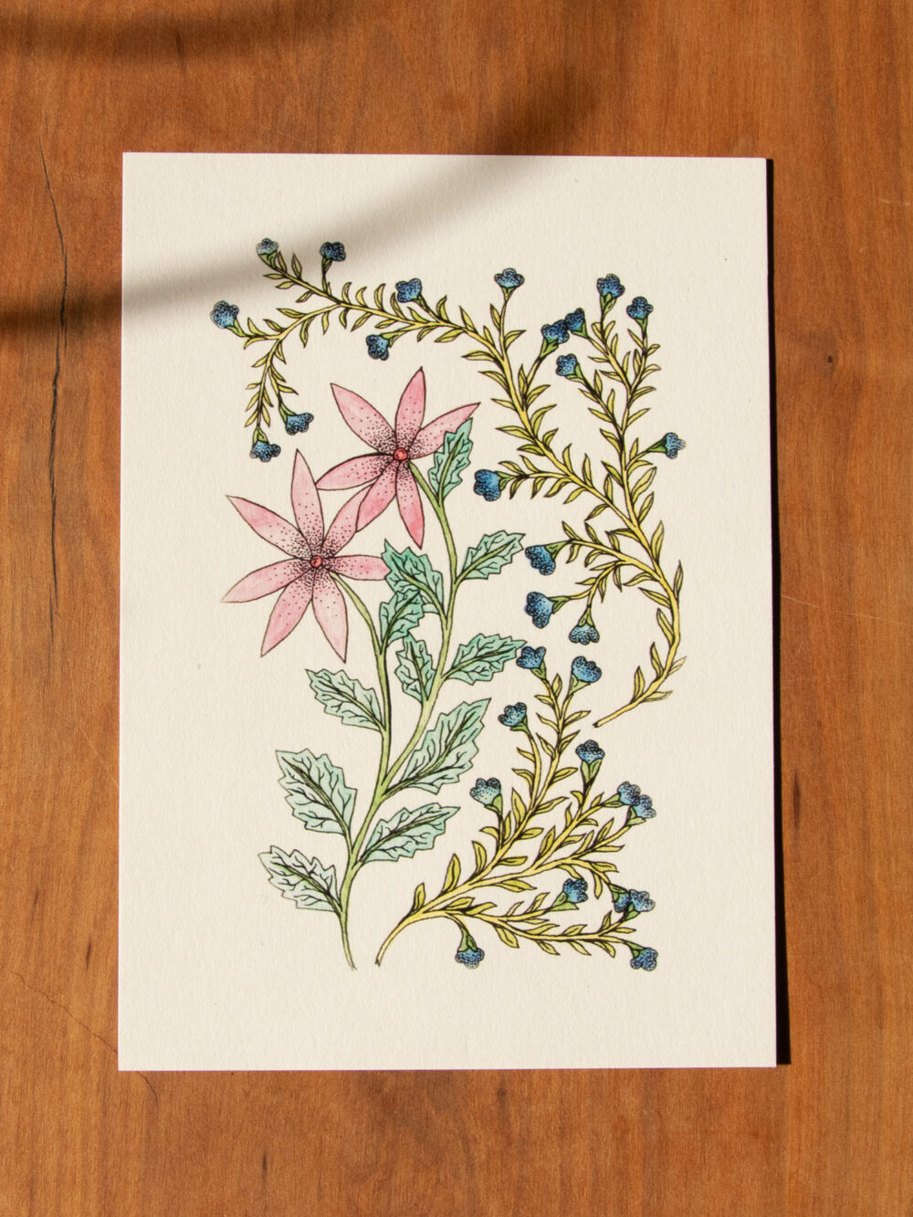 Postkarte Blumen - "Juni"