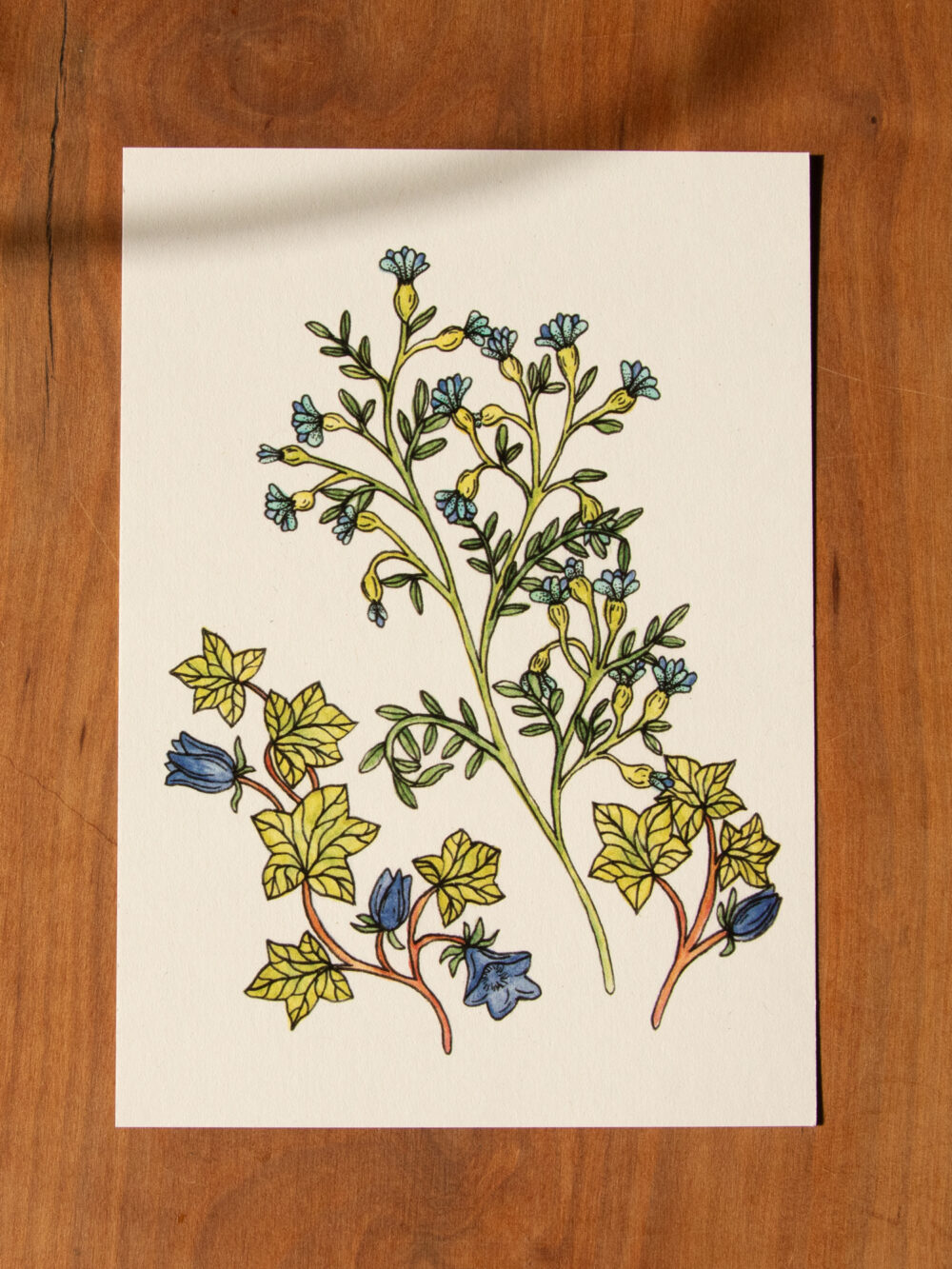 Postkarte Blumen - "November"