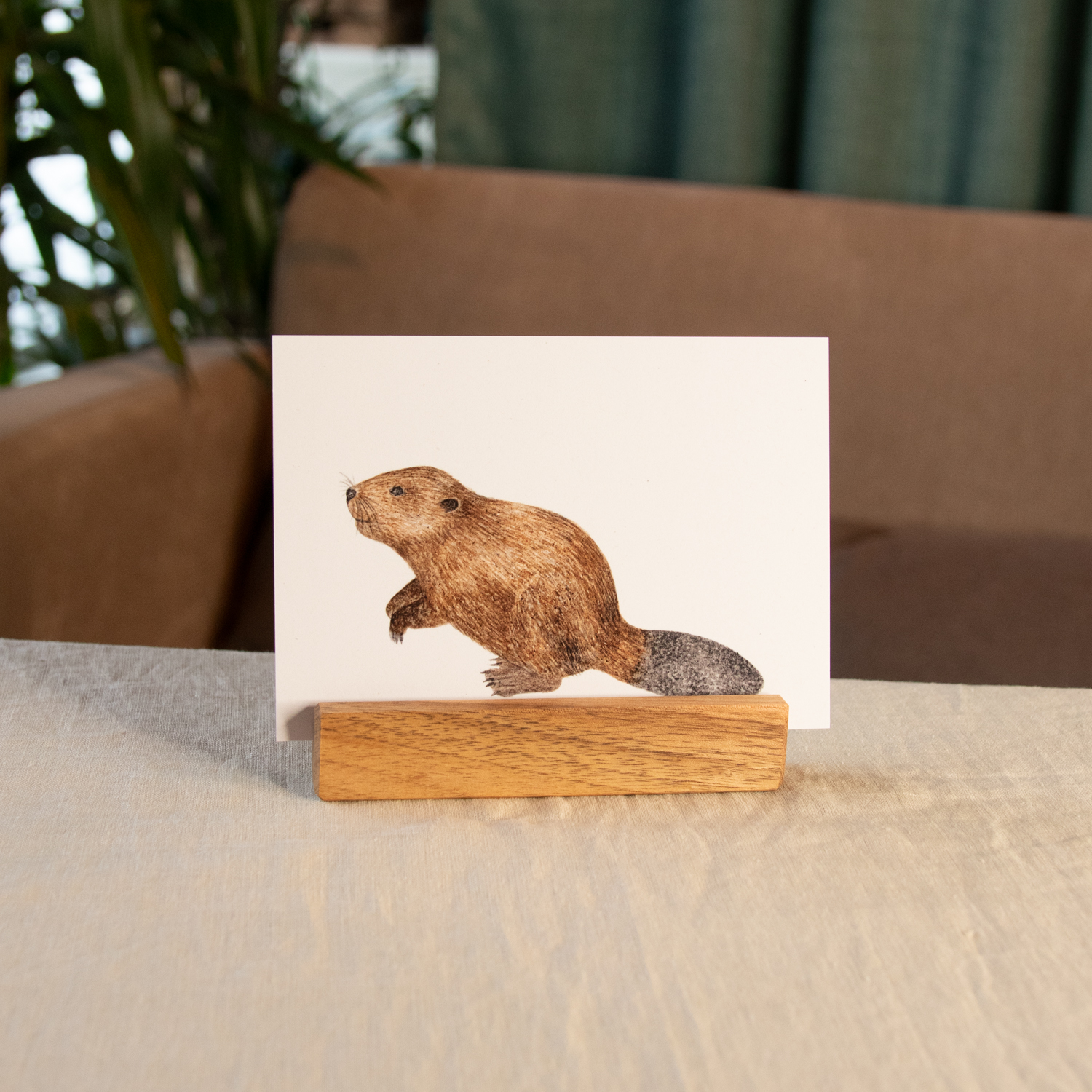 Postkarte Tiere - "Biber" – Bild 2
