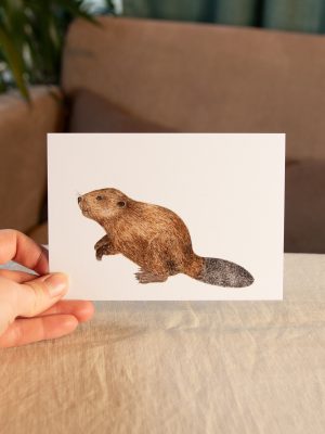 Postkarte Tiere - "Biber"