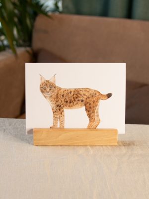 Postkarte Tiere - "Luchs"