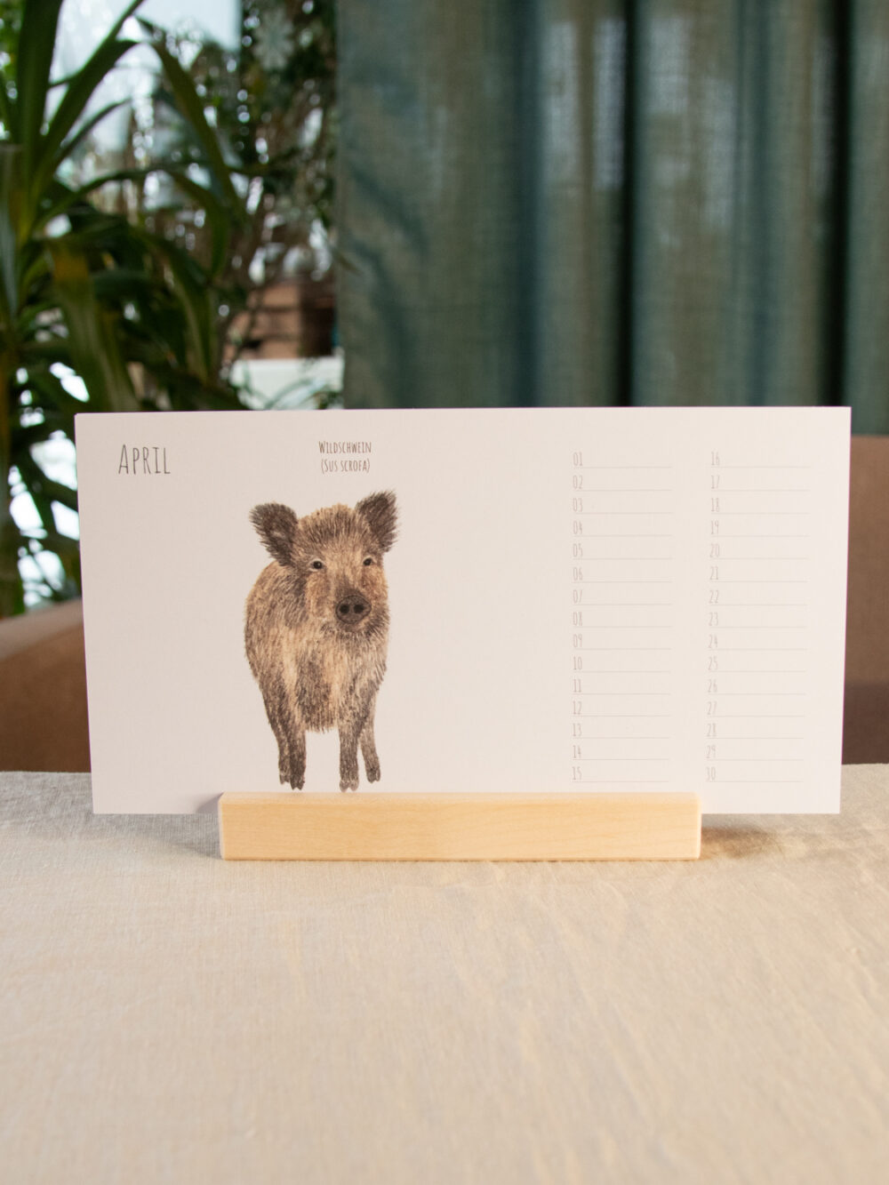 Postkartenkalender - Heimische Wildtiere