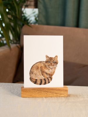 Postkarte Tiere - "Wildkatze"