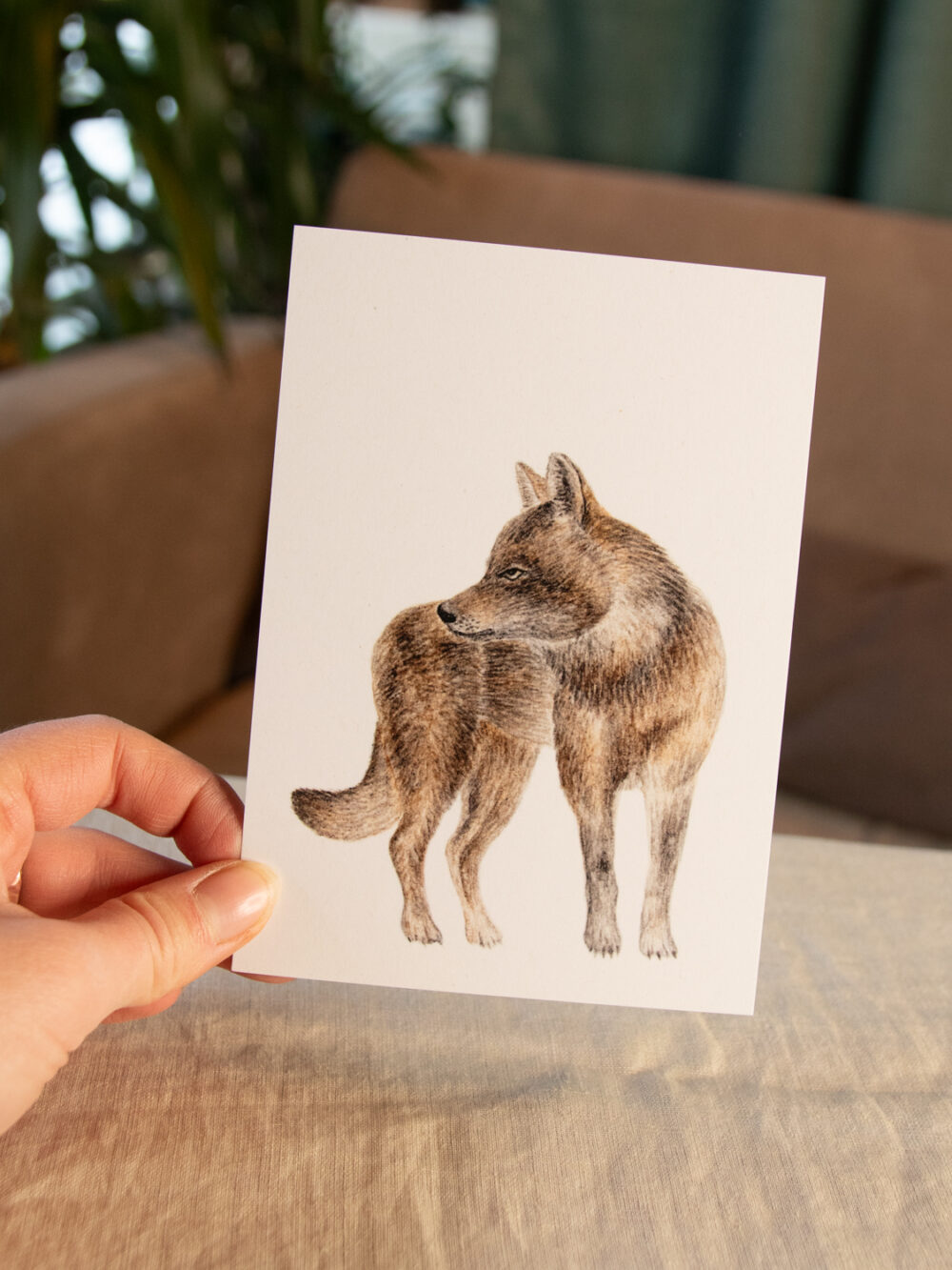 Postkarte Tiere - "Wolf"