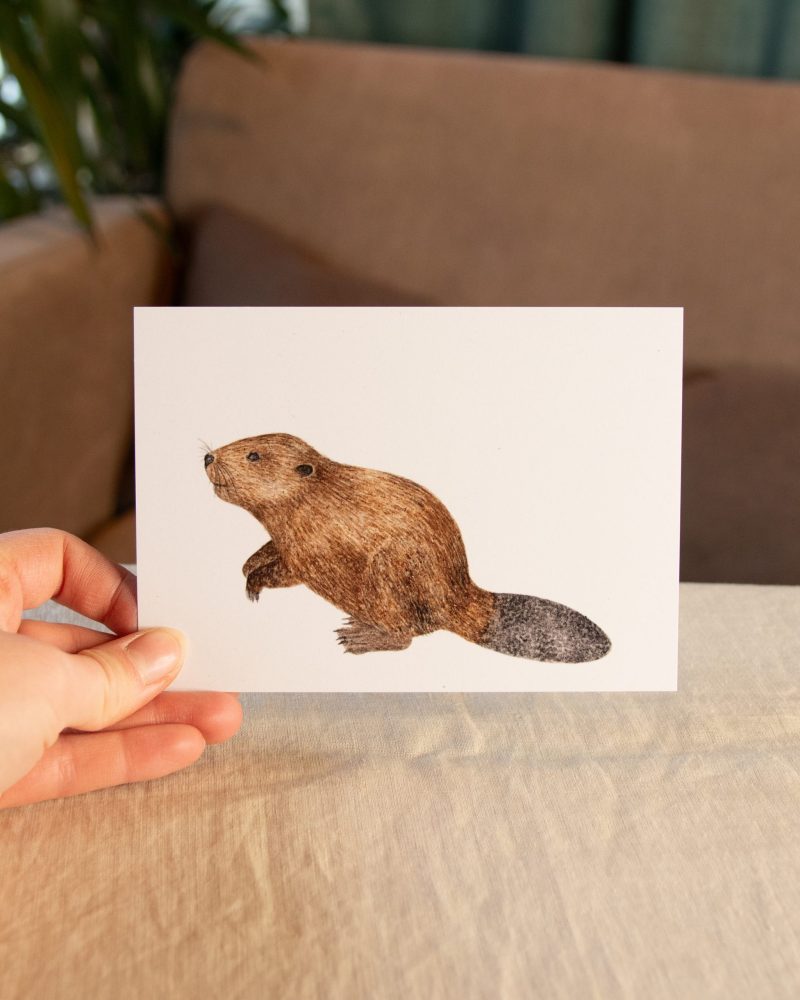 Postkarte Tiere – „Biber“