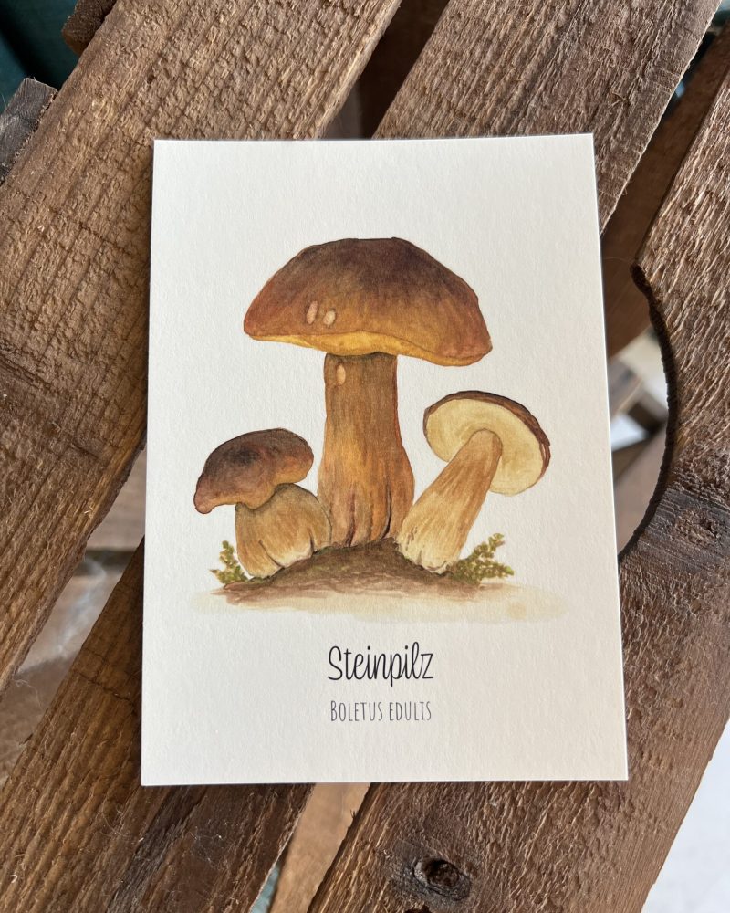 Steinpilz Postkarte – handgezeichnete Aquarellillustration