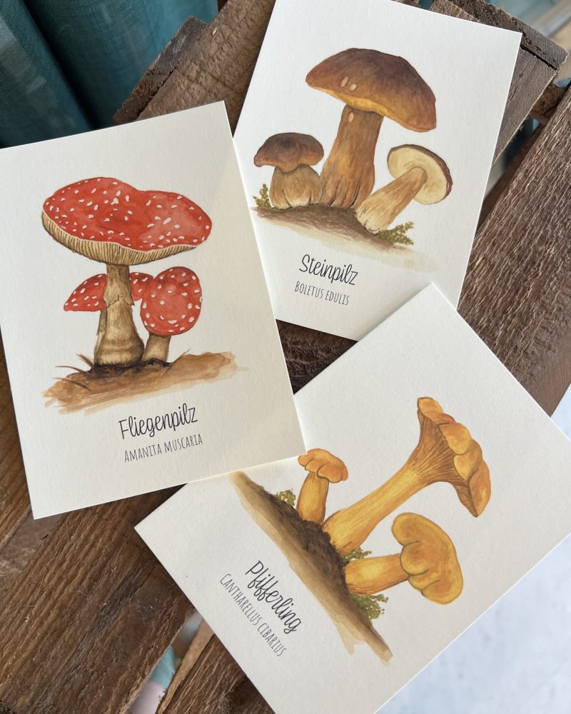 Pilz-Postkarten – handgezeichnete Aquarellillustrationen