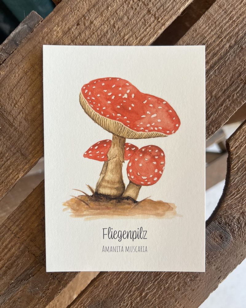 Fliegenpilz Postkarte – handgezeichnete Aquarellillustration