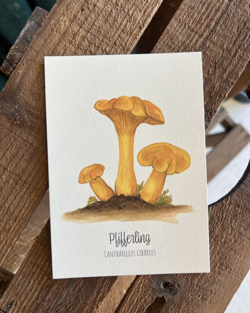 Pfifferling Postkarte – handgezeichnete Aquarellillustration