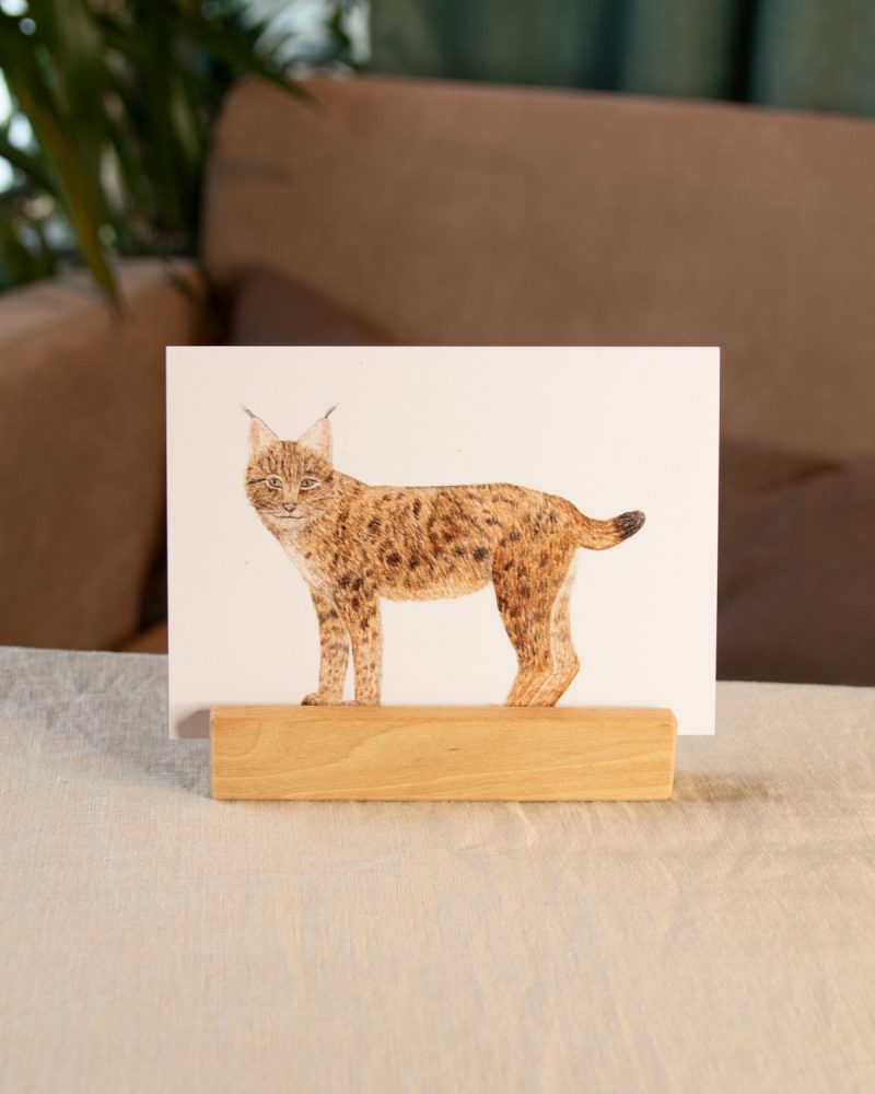 Postkarte Tiere – „Luchs“