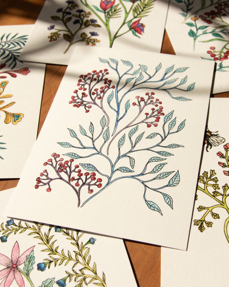 Postkarte Blumen – „Februar“