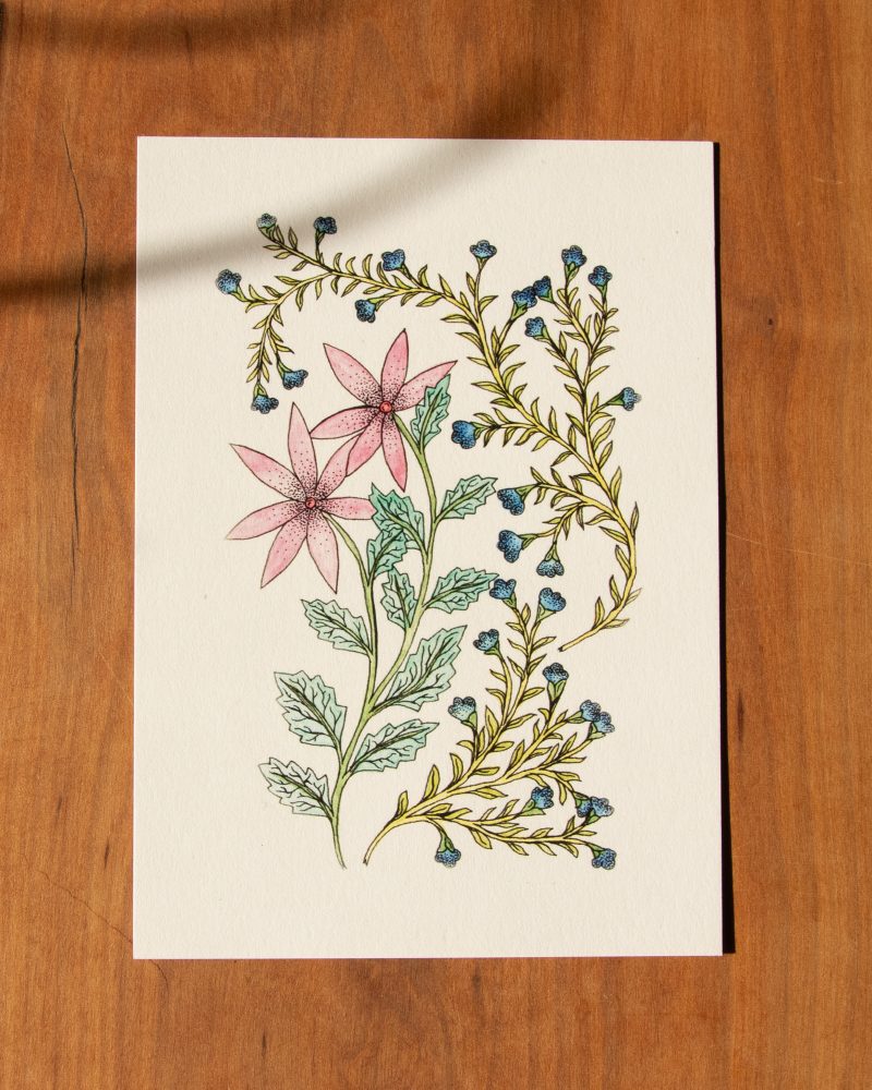 Postkarte Blumen – „Juni“