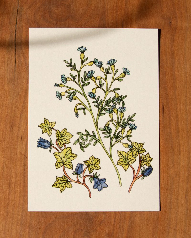 Postkarte Blumen – „November“
