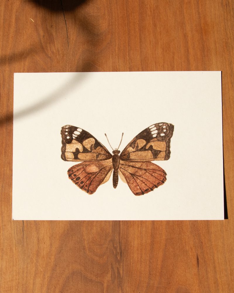 Postkarte Tiere – „Distelfalter“