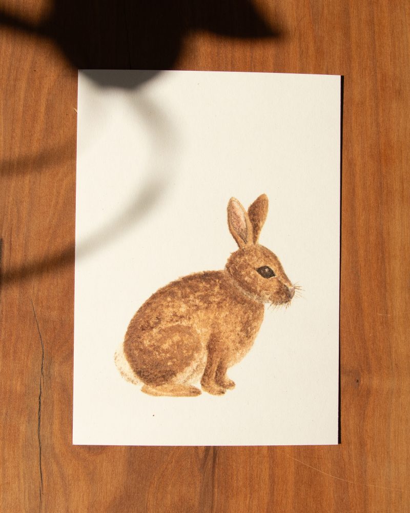 Postkarte Tiere – „Kaninchen“