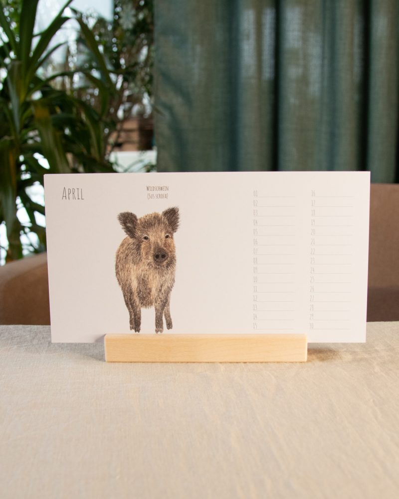Postkartenkalender – Heimische Wildtiere