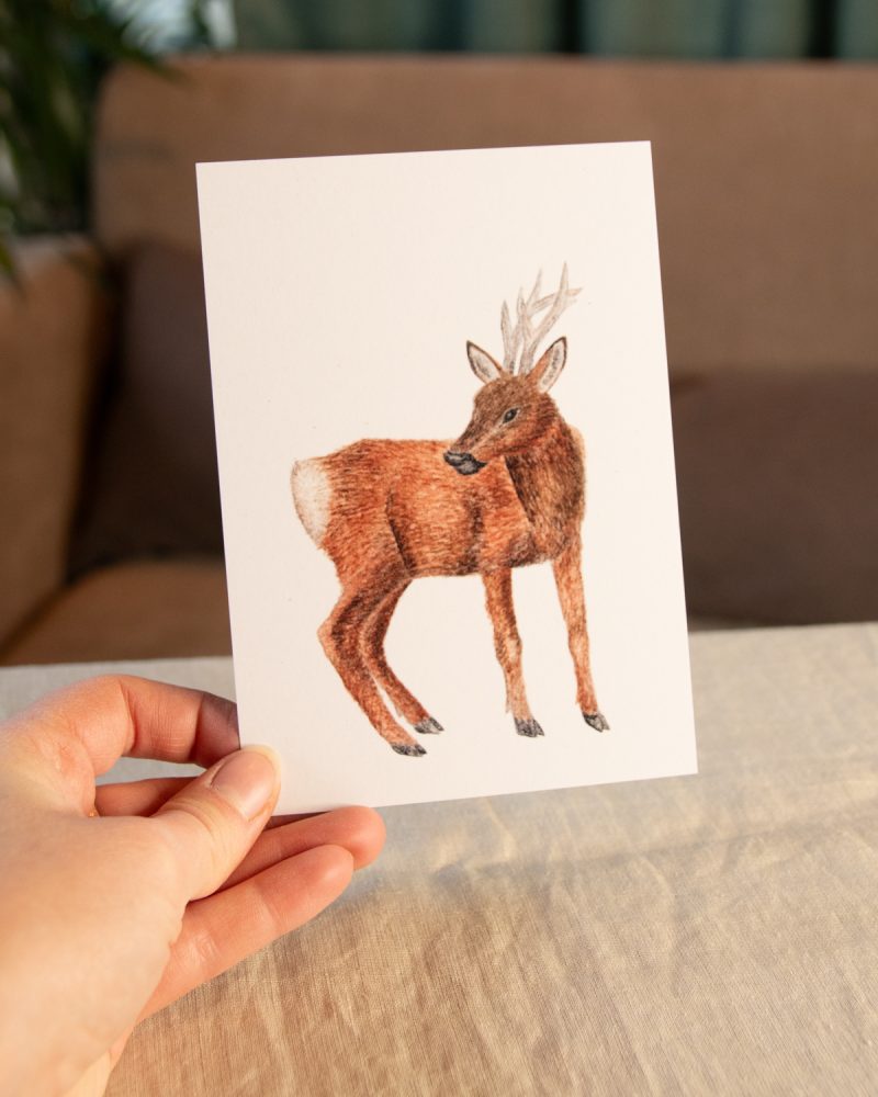 Postkarte Tiere – „Rehbock“