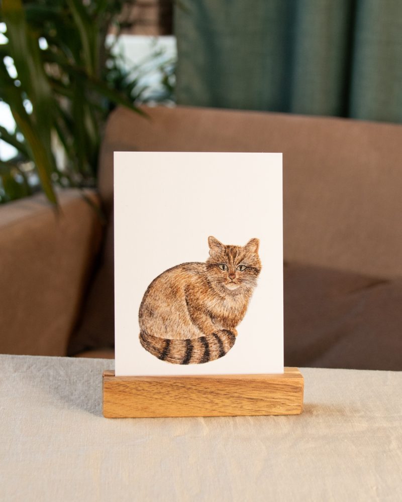 Postkarte Tiere – „Wildkatze“