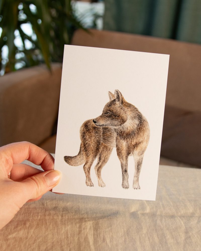 Postkarte Tiere – „Wolf“